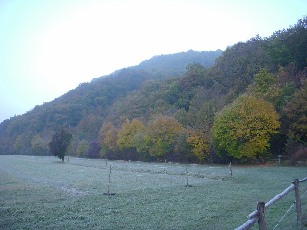 DSCN9552.JPG - Morgenstimmung