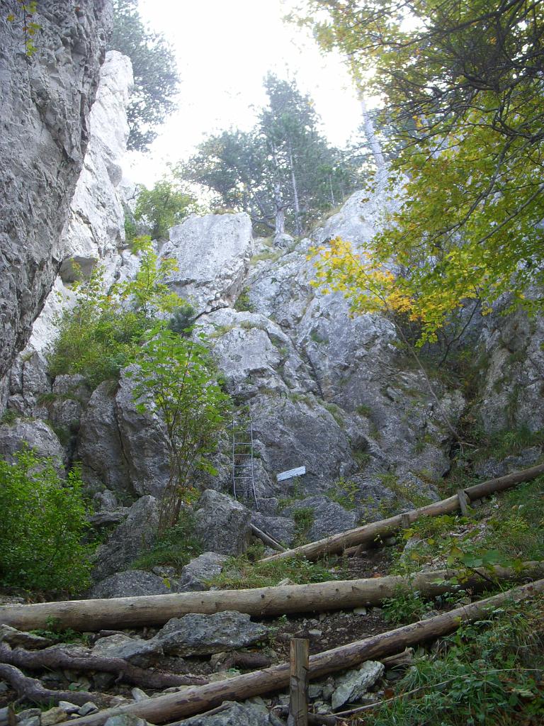 DSCN9577.JPG - Haserlstiege ...