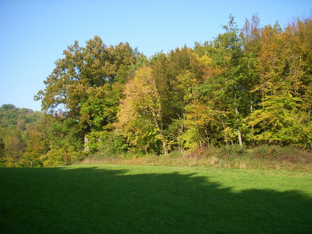 DSCN9595.JPG - Am Nachmittag prächtiges Herbstwetter!