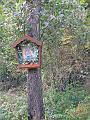 DSCN2126_bearbeitet-1