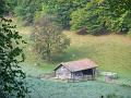 DSCN9573