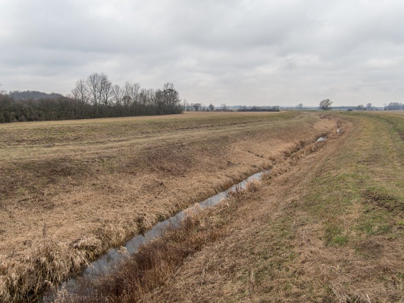 DSCN0271.jpg - Hametbach vor seiner Mündung