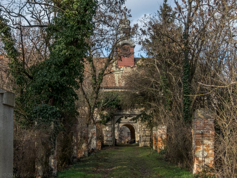 DSCN0328.jpg - Schloss Rabensburg