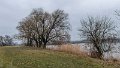DSCN0257