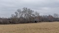 DSCN0268