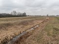 DSCN0271