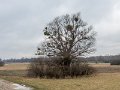 DSCN0272