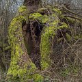 DSCN0273