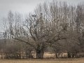 DSCN0283