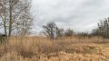 DSCN0297