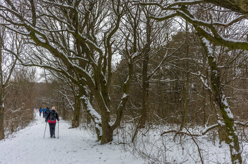 _DSC5097.jpg - Richtung Elisabethhöhe