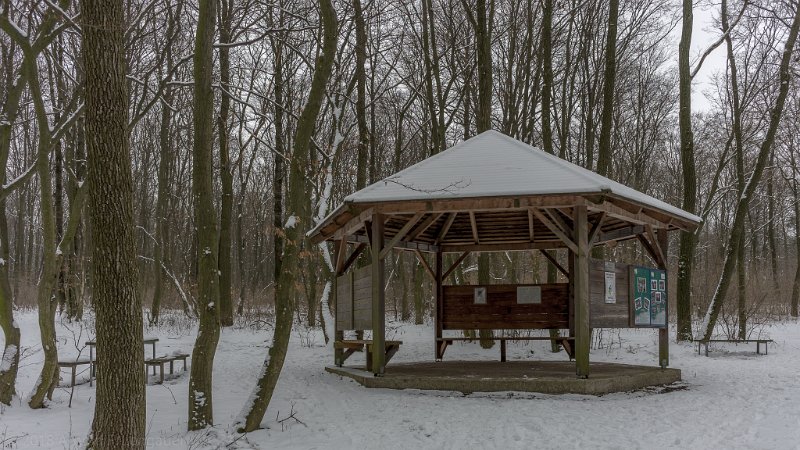 _DSC5148.jpg - Salettl