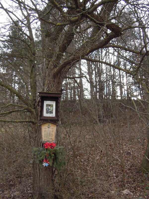 DSCN3300.JPG - Bildbaum nahe Preinsfeld