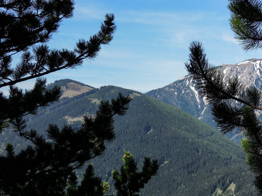 DSCN4539.jpg