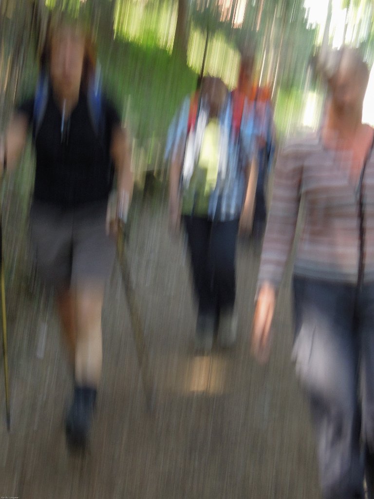 DSCN4547.jpg