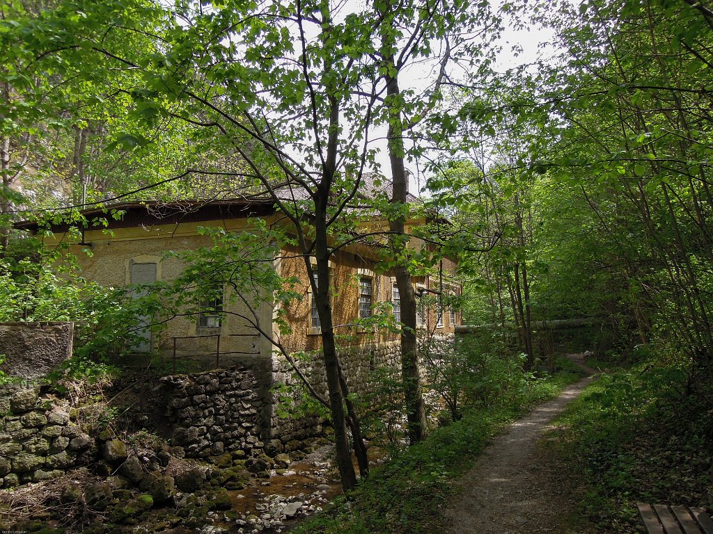 DSCN4571.jpg
