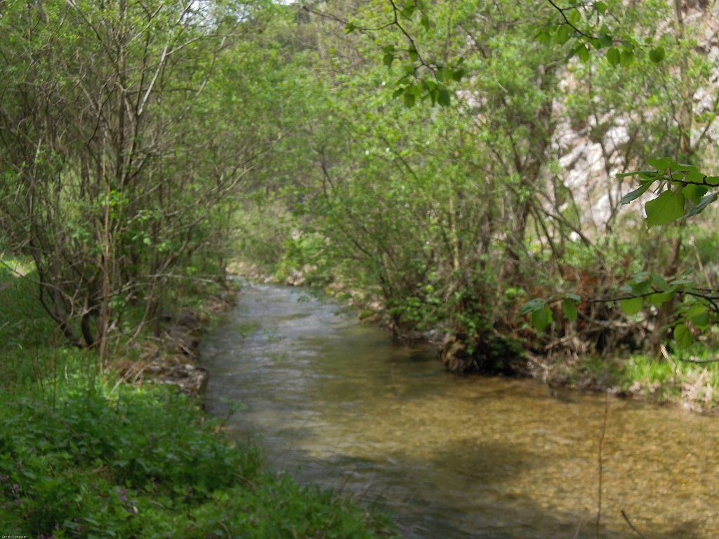 DSCN4576.jpg