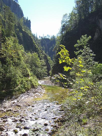 DSCN1200.JPG - Großer Bach, links der Triftsteig