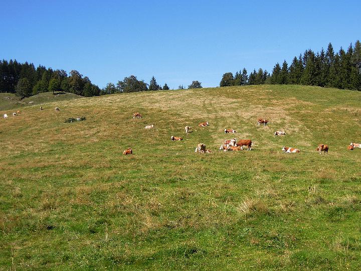 DSCN1249.JPG - Unser Ziel ist erreicht ...