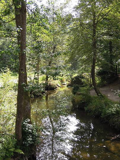 DSCN1349.JPG - Am Gießenbach