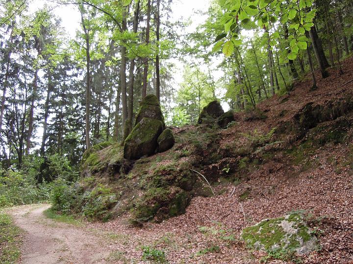 DSCN1354.JPG - Am Rückweg ...