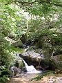 DSCN1328
