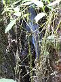 DSCN1338