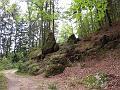 DSCN1354