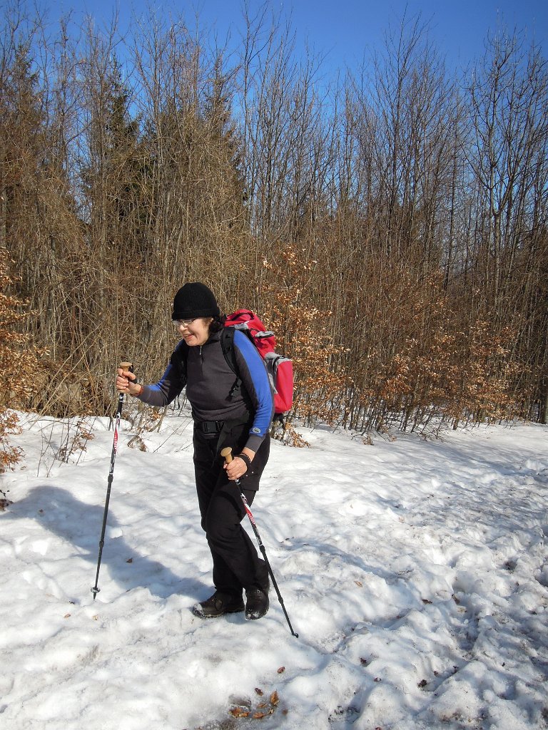 DSCN3901.JPG - Schnee in Gipfelnähe