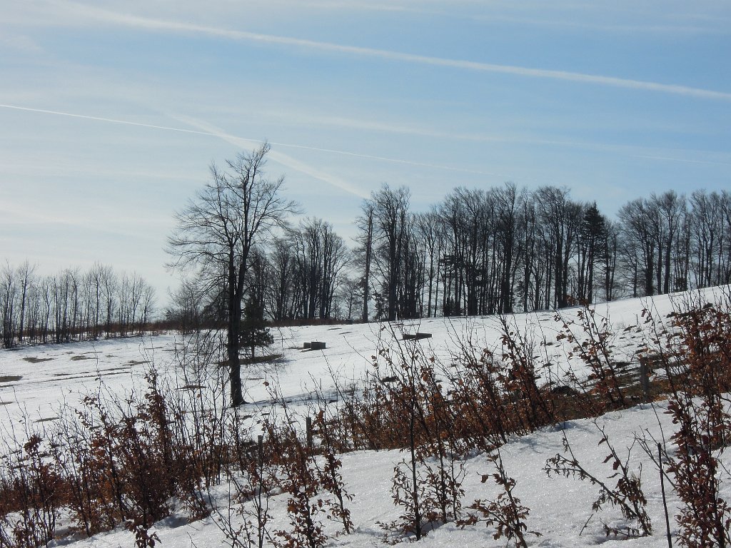 DSCN3902.JPG - Gipfelwiese