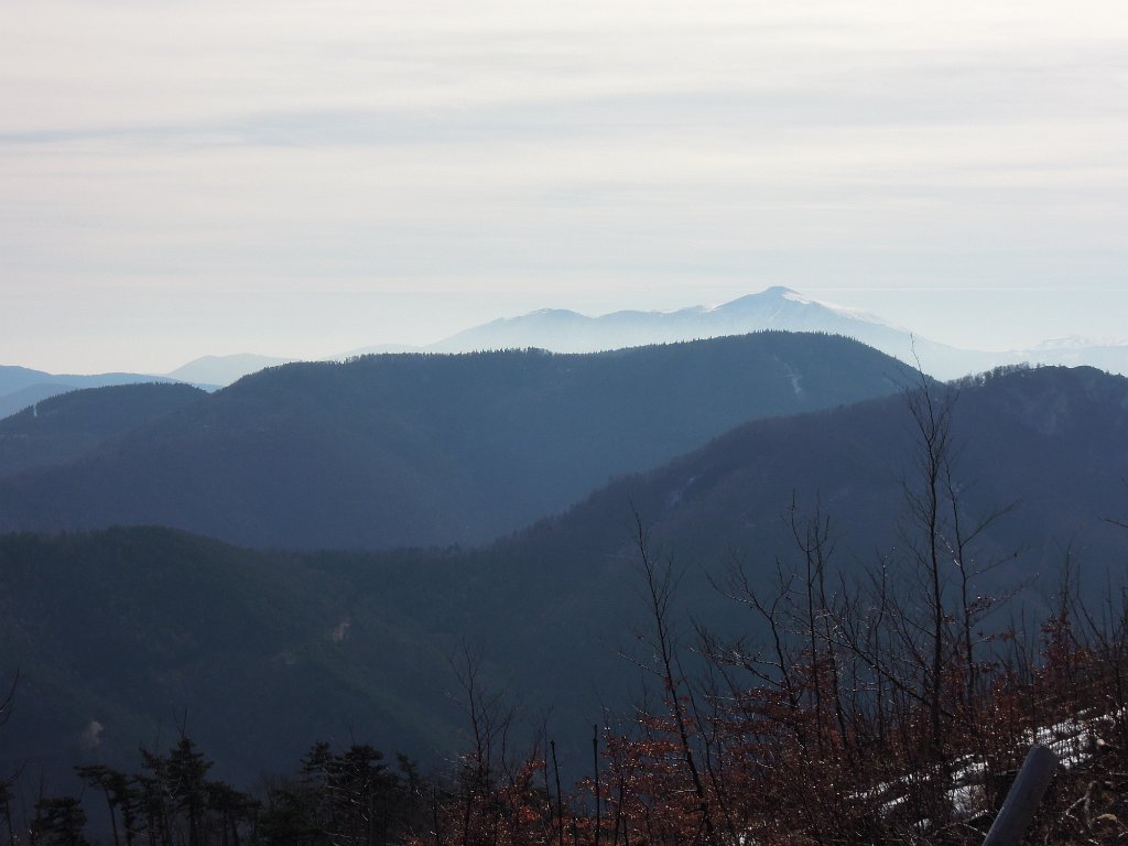 DSCN3920.JPG - Blick zum Schneeberg