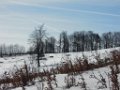 DSCN3902