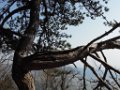 DSCN4157