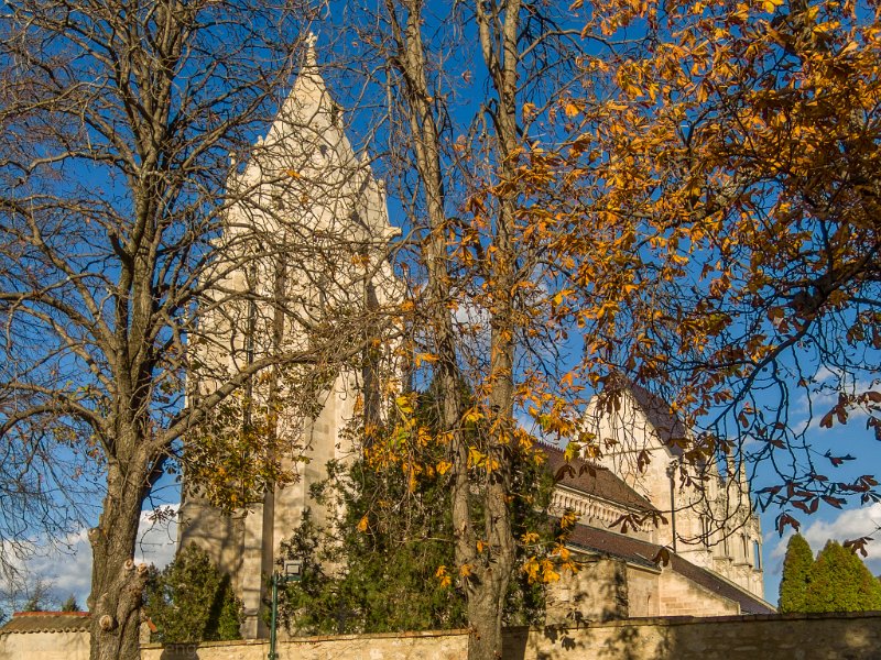 DSCN9605.jpg - Pfarrkirche Maria Himmelfahrt