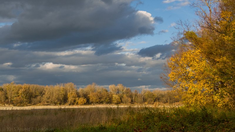 DSCN9613.jpg - Donauau