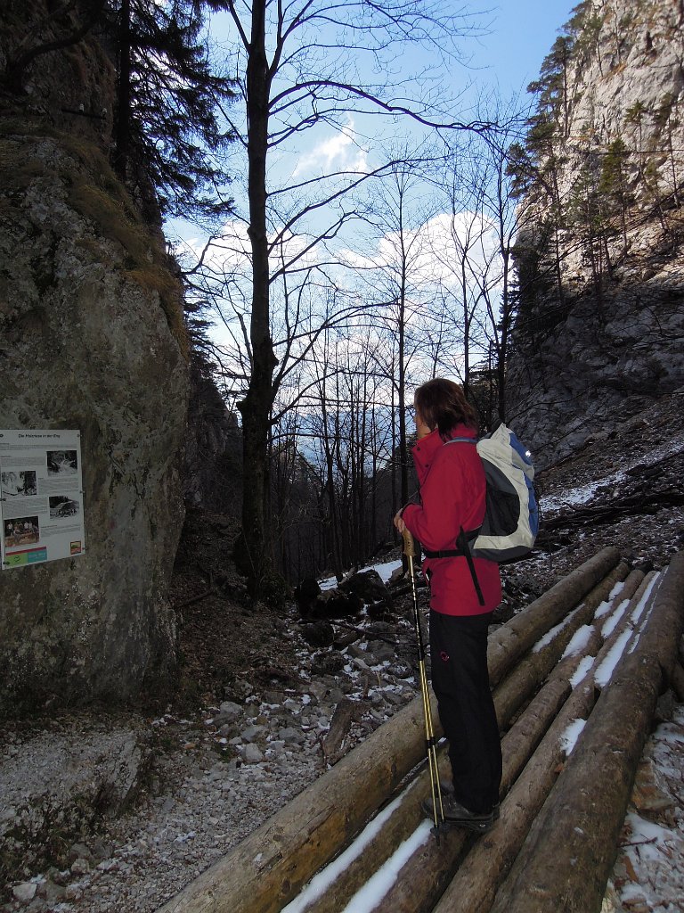 DSCN4286.jpg