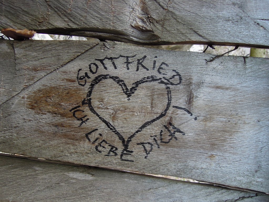 DSCN4288.jpg