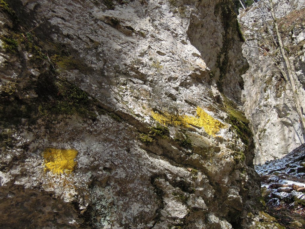 DSCN4294.jpg
