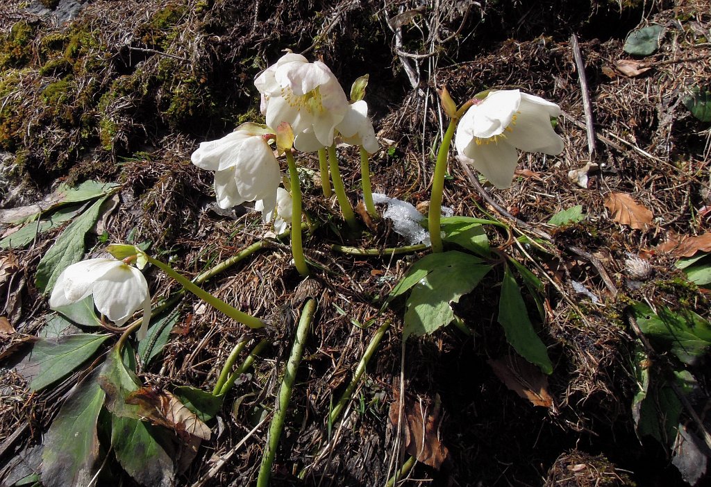 DSCN4301.jpg