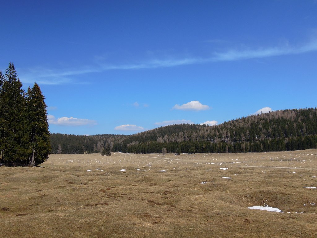DSCN4319.jpg