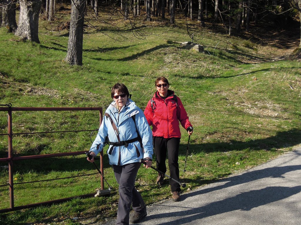 DSCN4340.jpg