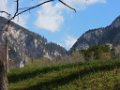 DSCN4273