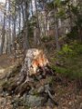 DSCN4276