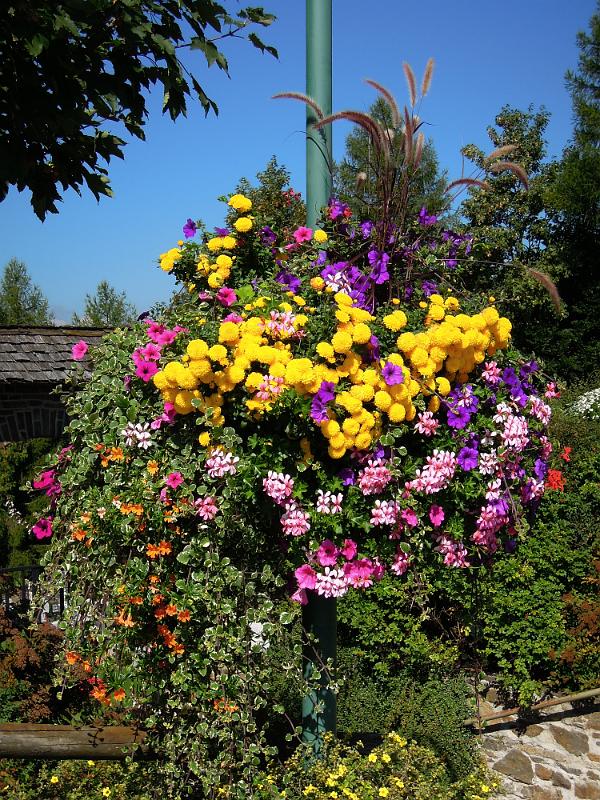 DSCN1438.JPG - Reicher Blumenschmuck auf den Straßen