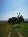 DSCN1470