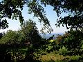 DSCN1490