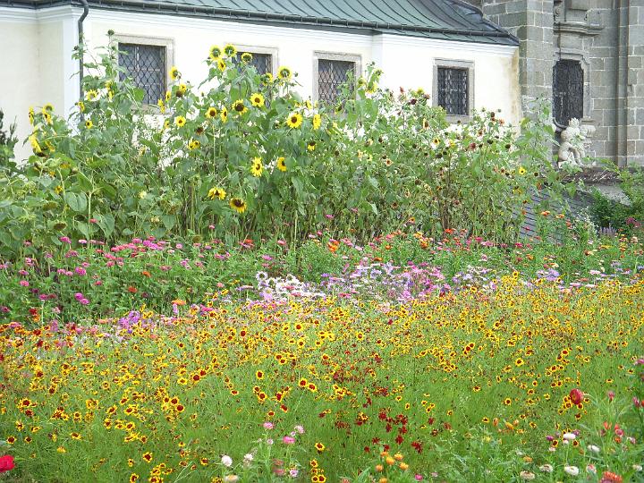 DSCN6730.jpg - Stiftsgarten