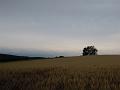 DSCN0606