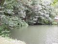 DSCN0611