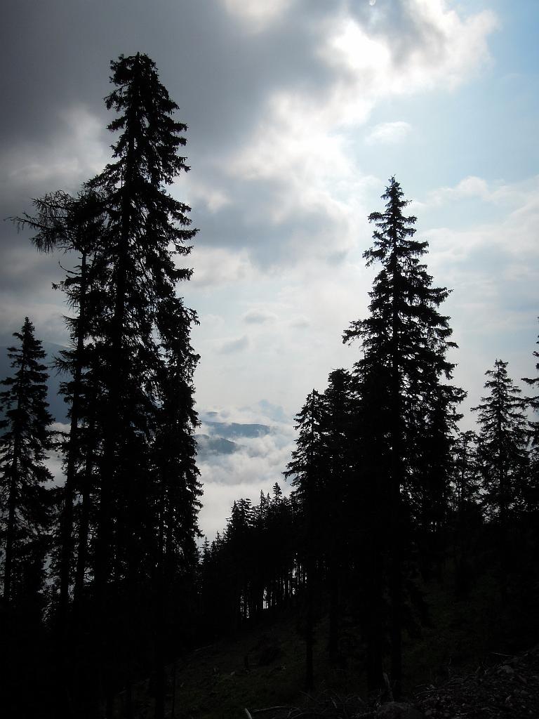 DSCN0912.jpg - Morgenstimmung
